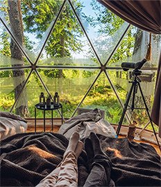 Скидка 50% на уютный отдых на базе отдыха «Гнездовье»!