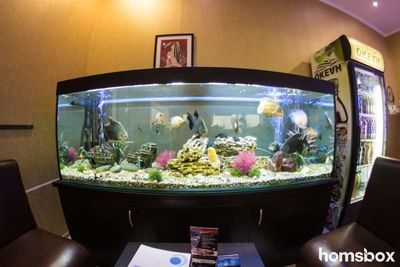 Техно двор, автомойка на Ложевой 130А