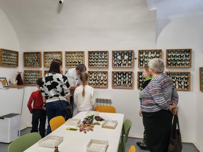 Выставка тропических бабочек и авторские мастер‑классы со скидкой до 28%